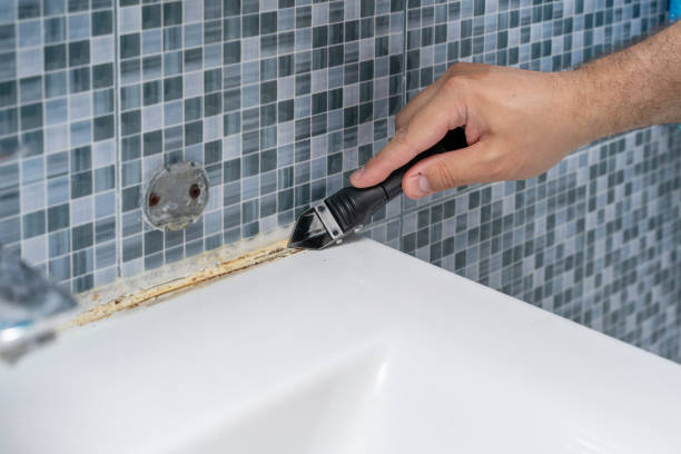 Best Residential Mold Remediation in San Martin, CA